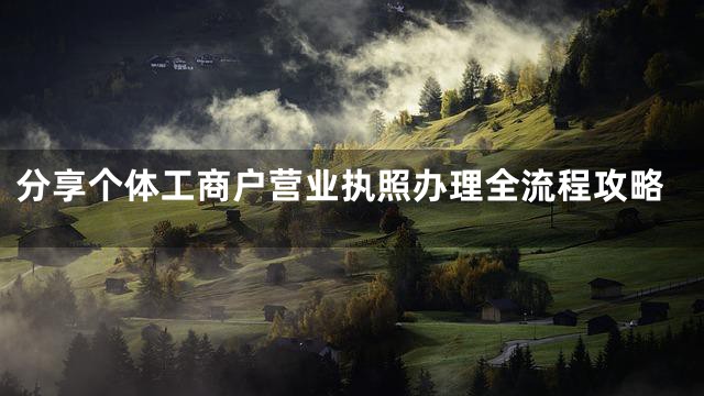 分享个体工商户营业执照办理全流程攻略