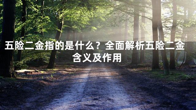 五险二金指的是什么？全面解析五险二金含义及作用