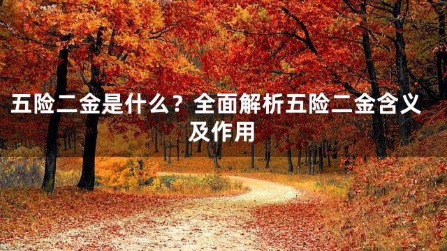 五险二金是什么？全面解析五险二金含义及作用