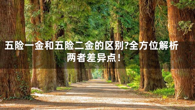 五险一金和五险二金的区别?全方位解析两者差异点！