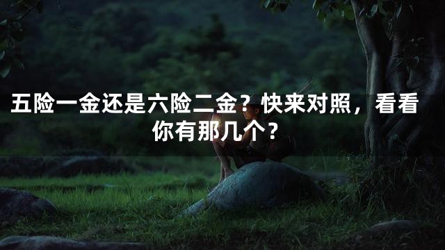 五险一金还是六险二金？快来对照，看看你有那几个？