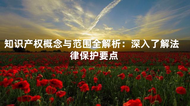 知识产权概念与范围全解析：深入了解法律保护要点