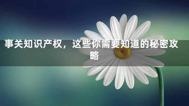 事关知识产权，这些你需要知道的秘密攻略