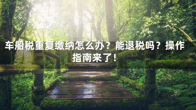 车船税重复缴纳怎么办？能退税吗？操作指南来了！