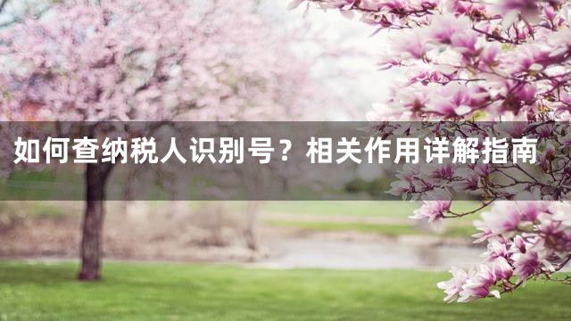 如何查纳税人识别号？相关作用详解指南