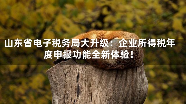 山东省电子税务局大升级：企业所得税年度申报功能全新体验！