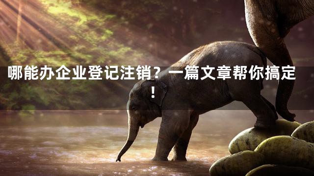 哪能办企业登记注销？一篇文章帮你搞定！