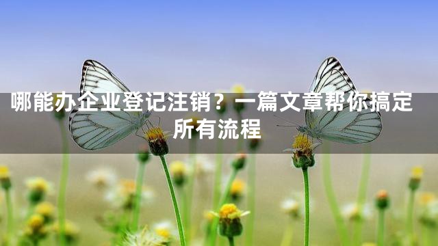 哪能办企业登记注销？一篇文章帮你搞定所有流程