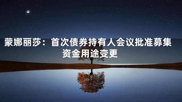 蒙娜丽莎：首次债券持有人会议批准募集资金用途变更