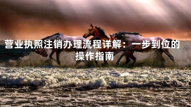 营业执照注销办理流程详解：一步到位的操作指南