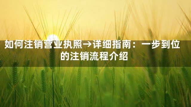 如何注销营业执照→详细指南：一步到位的注销流程介绍
