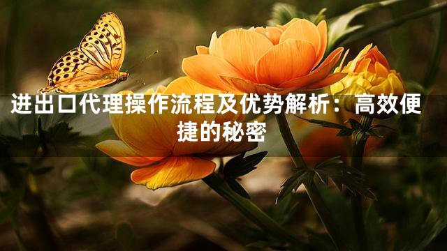 进出口代理操作流程及优势解析：高效便捷的秘密