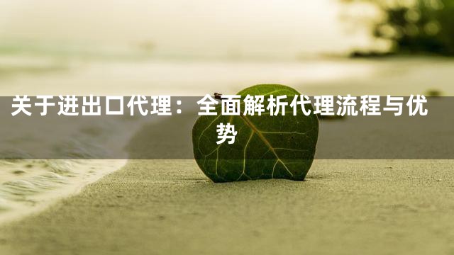 关于进出口代理：全面解析代理流程与优势