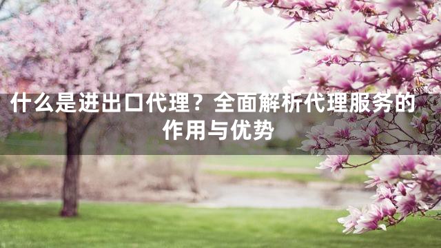什么是进出口代理？全面解析代理服务的作用与优势