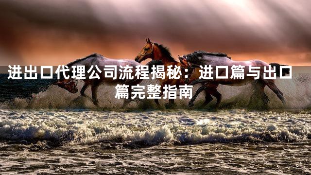 进出口代理公司流程揭秘：进口篇与出口篇完整指南