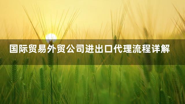 国际贸易外贸公司进出口代理流程详解