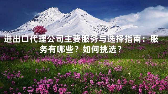 进出口代理公司主要服务与选择指南：服务有哪些？如何挑选？