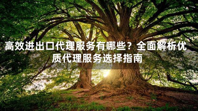 高效进出口代理服务有哪些？全面解析优质代理服务选择指南