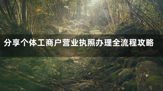 分享个体工商户营业执照办理全流程攻略