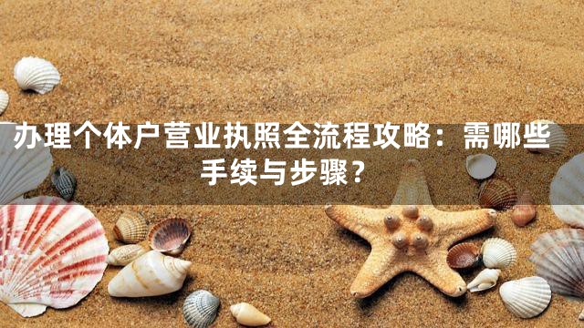 办理个体户营业执照全流程攻略：需哪些手续与步骤？