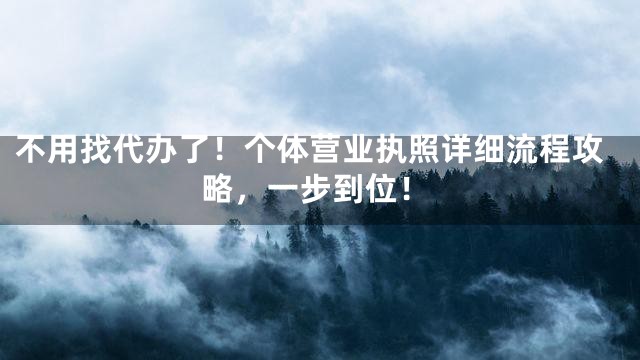 不用找代办了！个体营业执照详细流程攻略，一步到位！