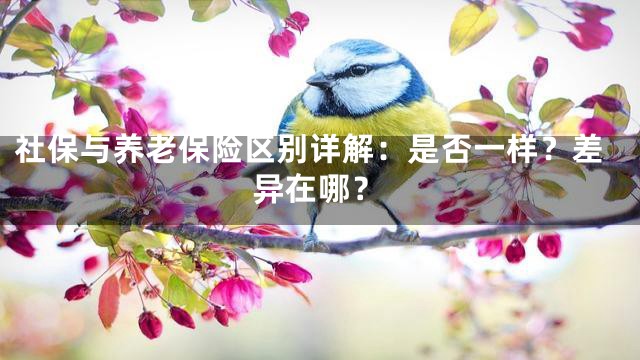 社保与养老保险区别详解：是否一样？差异在哪？