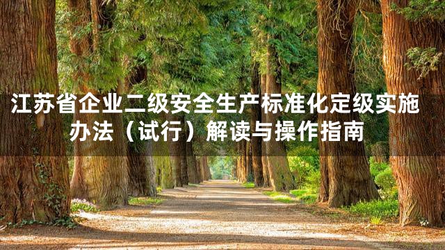 江苏省企业二级安全生产标准化定级实施办法（试行）解读与操作指南