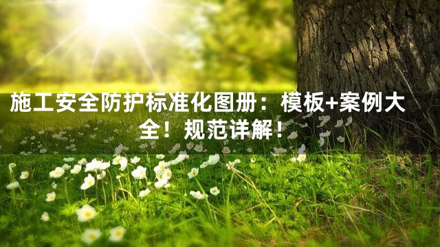 施工安全防护标准化图册：模板+案例大全！规范详解！