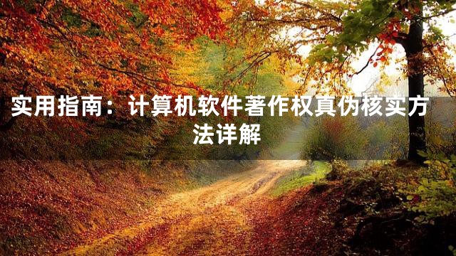 实用指南：计算机软件著作权真伪核实方法详解