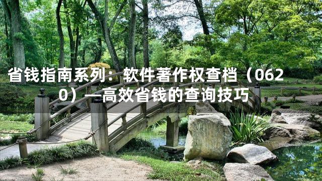 省钱指南系列：软件著作权查档（0620）—高效省钱的查询技巧