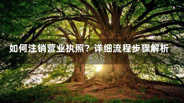 如何注销营业执照？详细流程步骤解析