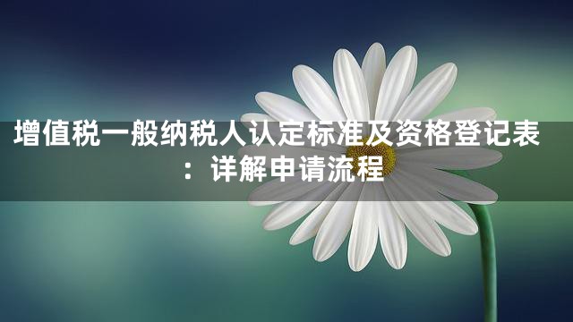 增值税一般纳税人认定标准及资格登记表：详解申请流程