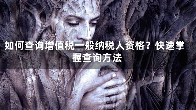 如何查询增值税一般纳税人资格？快速掌握查询方法