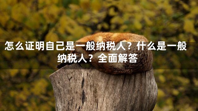 怎么证明自己是一般纳税人？什么是一般纳税人？全面解答