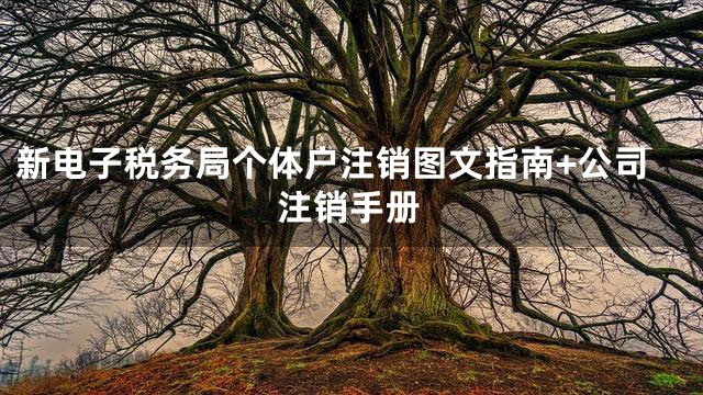 新电子税务局个体户注销图文指南+公司注销手册