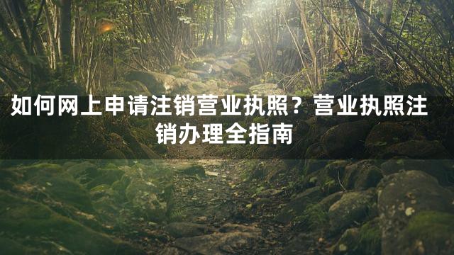 如何网上申请注销营业执照？营业执照注销办理全指南
