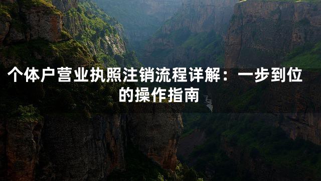 个体户营业执照注销流程详解：一步到位的操作指南