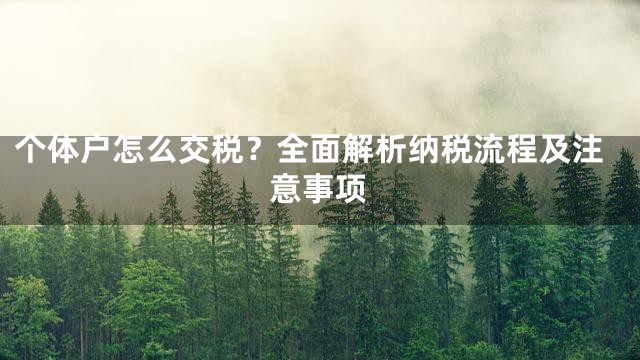 个体户怎么交税？全面解析纳税流程及注意事项