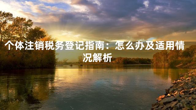 个体注销税务登记指南：怎么办及适用情况解析