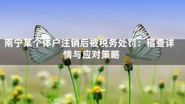 南宁某个体户注销后被税务处罚：稽查详情与应对策略