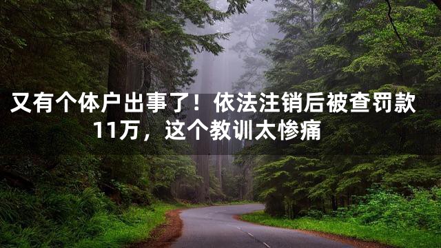 又有个体户出事了！依法注销后被查罚款11万，这个教训太惨痛