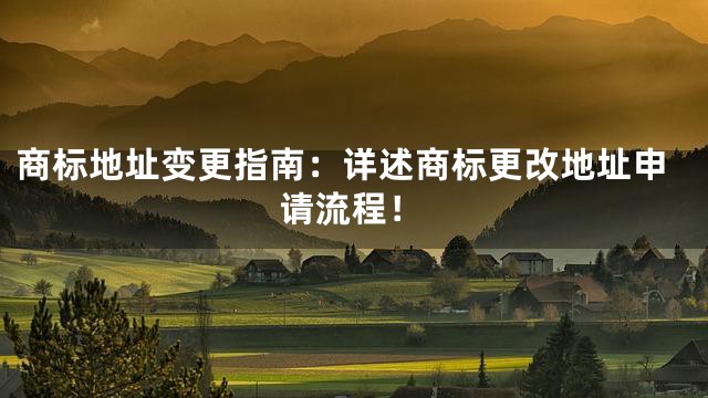 商标地址变更指南：详述商标更改地址申请流程！