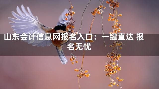 山东会计信息网报名入口：一键直达 报名无忧