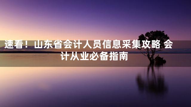 速看！山东省会计人员信息采集攻略 会计从业必备指南