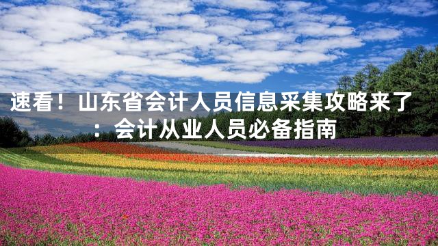 速看！山东省会计人员信息采集攻略来了：会计从业人员必备指南