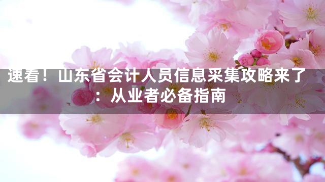 速看！山东省会计人员信息采集攻略来了：从业者必备指南