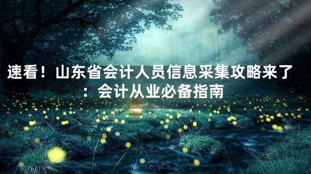 速看！山东省会计人员信息采集攻略来了：会计从业必备指南