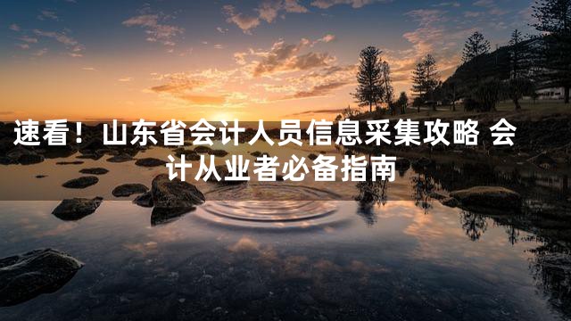 速看！山东省会计人员信息采集攻略 会计从业者必备指南
