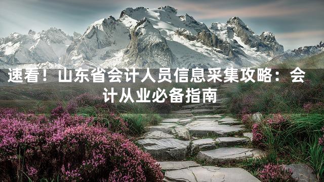速看！山东省会计人员信息采集攻略：会计从业必备指南