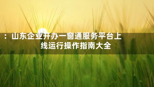 ：


山东企业开办一窗通服务平台上线运行操作指南大全